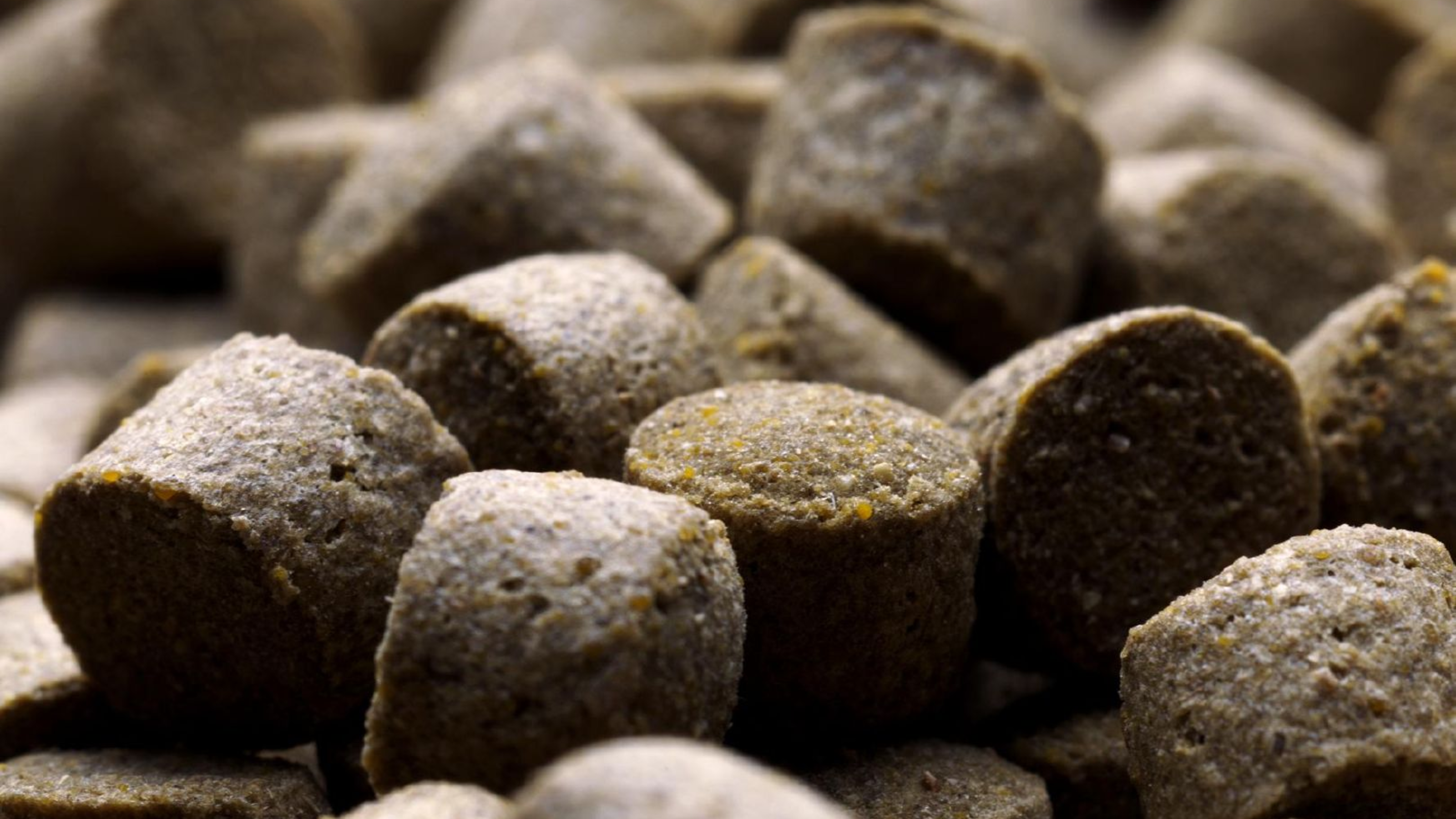 Aqua Feed Manufacturing Solutions Bühler Group