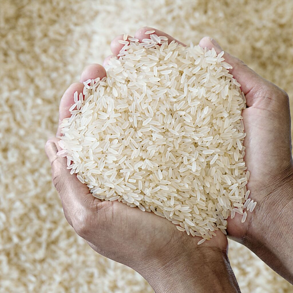Paddy to Rice Processing