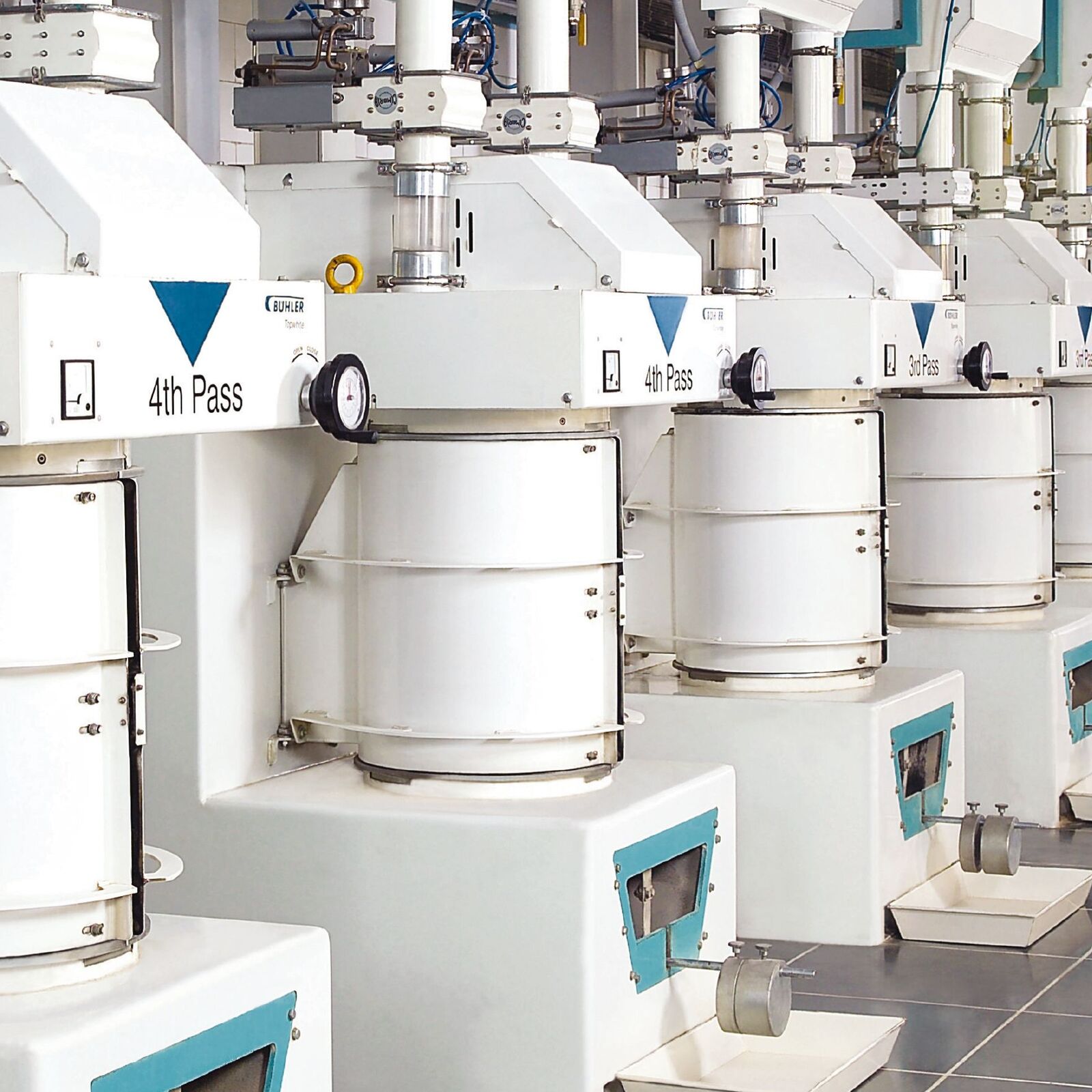 From lentils to lentil flour