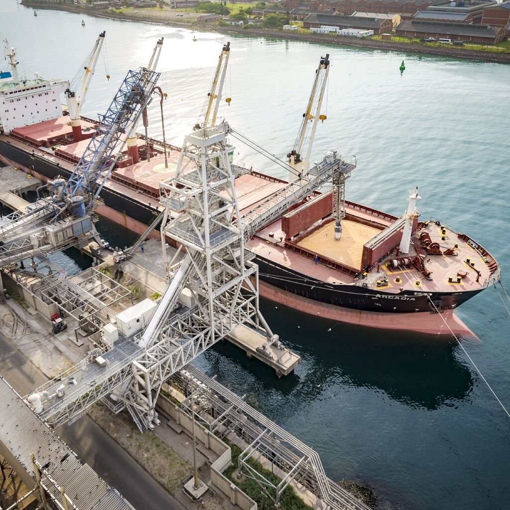 Ship Loading and Unloading Grain Handling Bühler Group