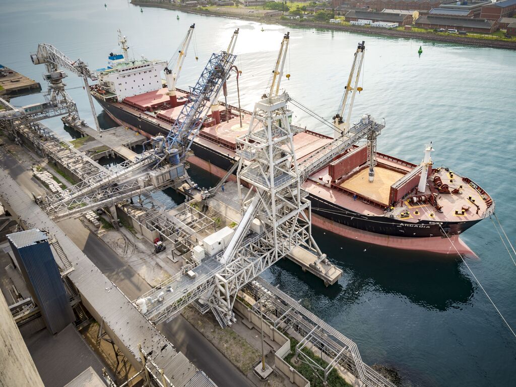 Ship Loading and Unloading Grain Handling Bühler Group