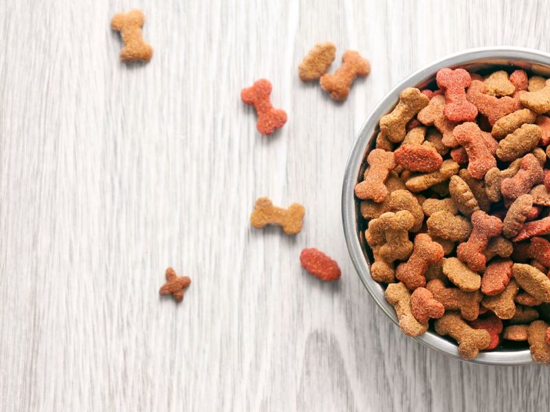 Extrusion Solutions For Manufacturing Premium Pet Food Buhler Group