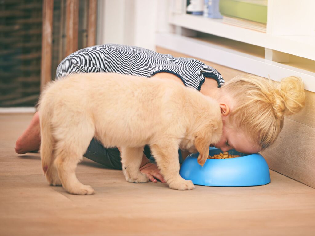 inar Contamination control in pet food production