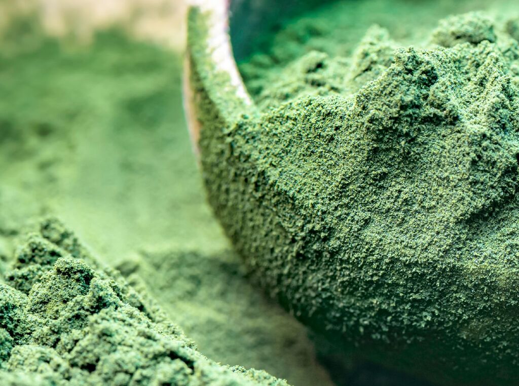 Algae as an Alternative Protein Nutrition Bühler Group