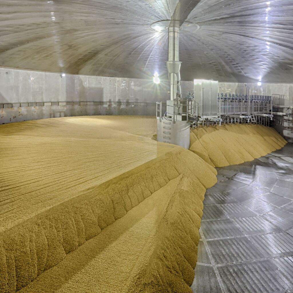 Germination Process Malting Bühler Group